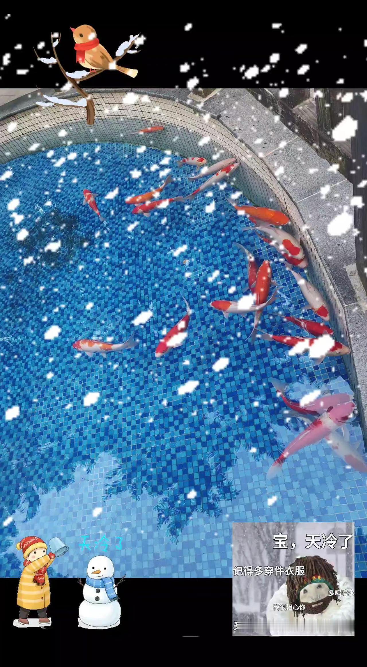 冬天就要毛绒绒