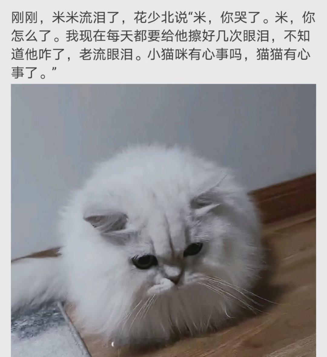 小宝宝 
