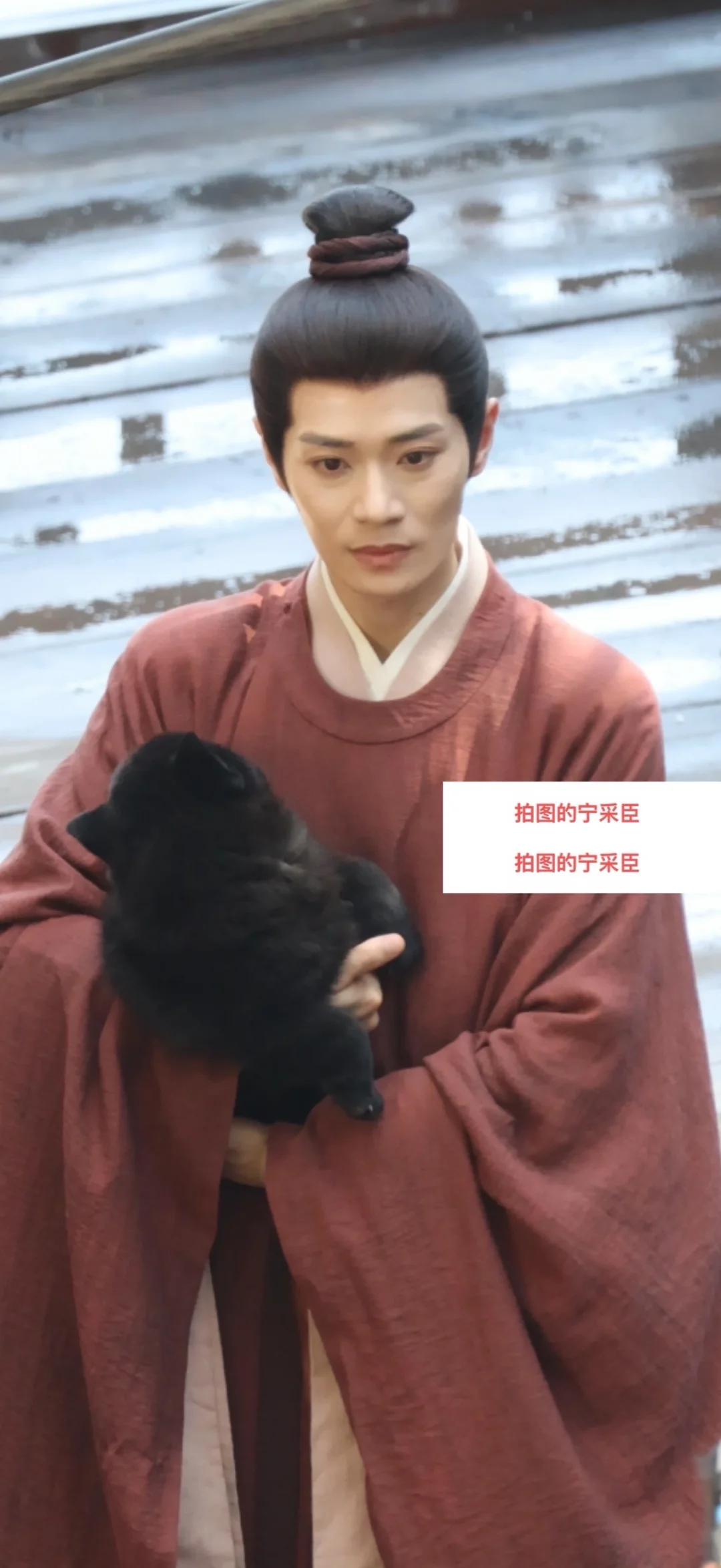 曹骏 抱狗