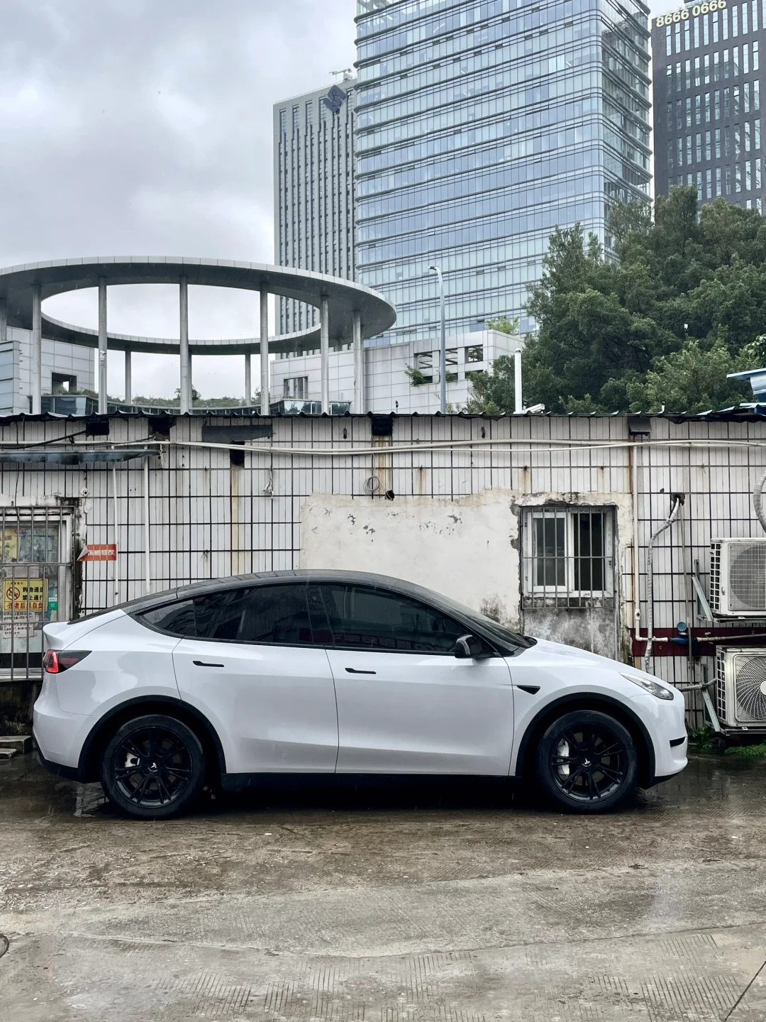 特斯拉 | ModelY 浅色纳多灰悬浮顶+白卡钳