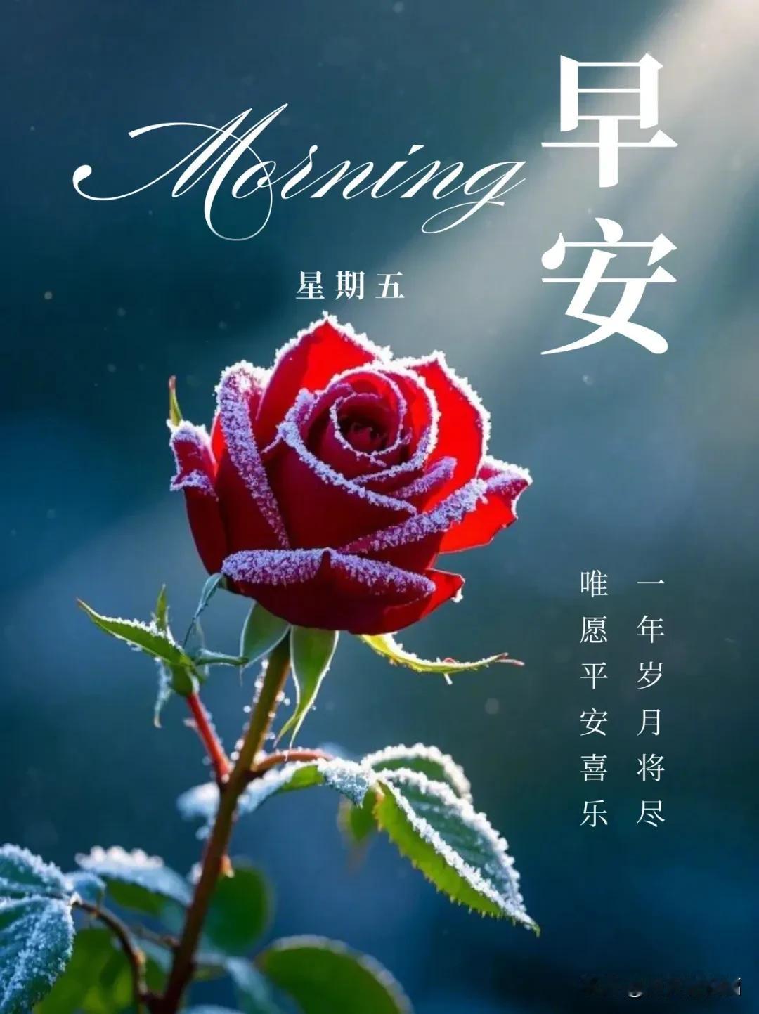 周五早上好祝福图片，周五早安问候图片及祝福语

早安●图片
Good Morni