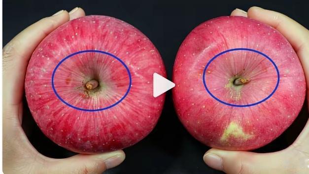 教你一个能识别激素苹果的“小机关”就是看果柄和果蒂。
 
自然成熟的苹果，果柄新
