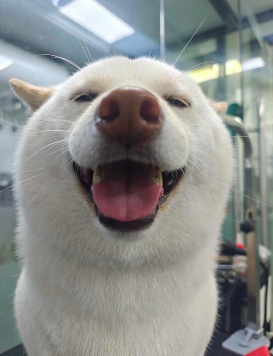 人！今天有没有吹毛！