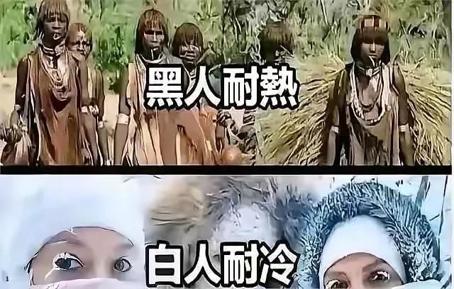 各个人种都有其优点，黑人耐热，白人耐冷，身为黄种人，你能说出几种黄种人的优点？