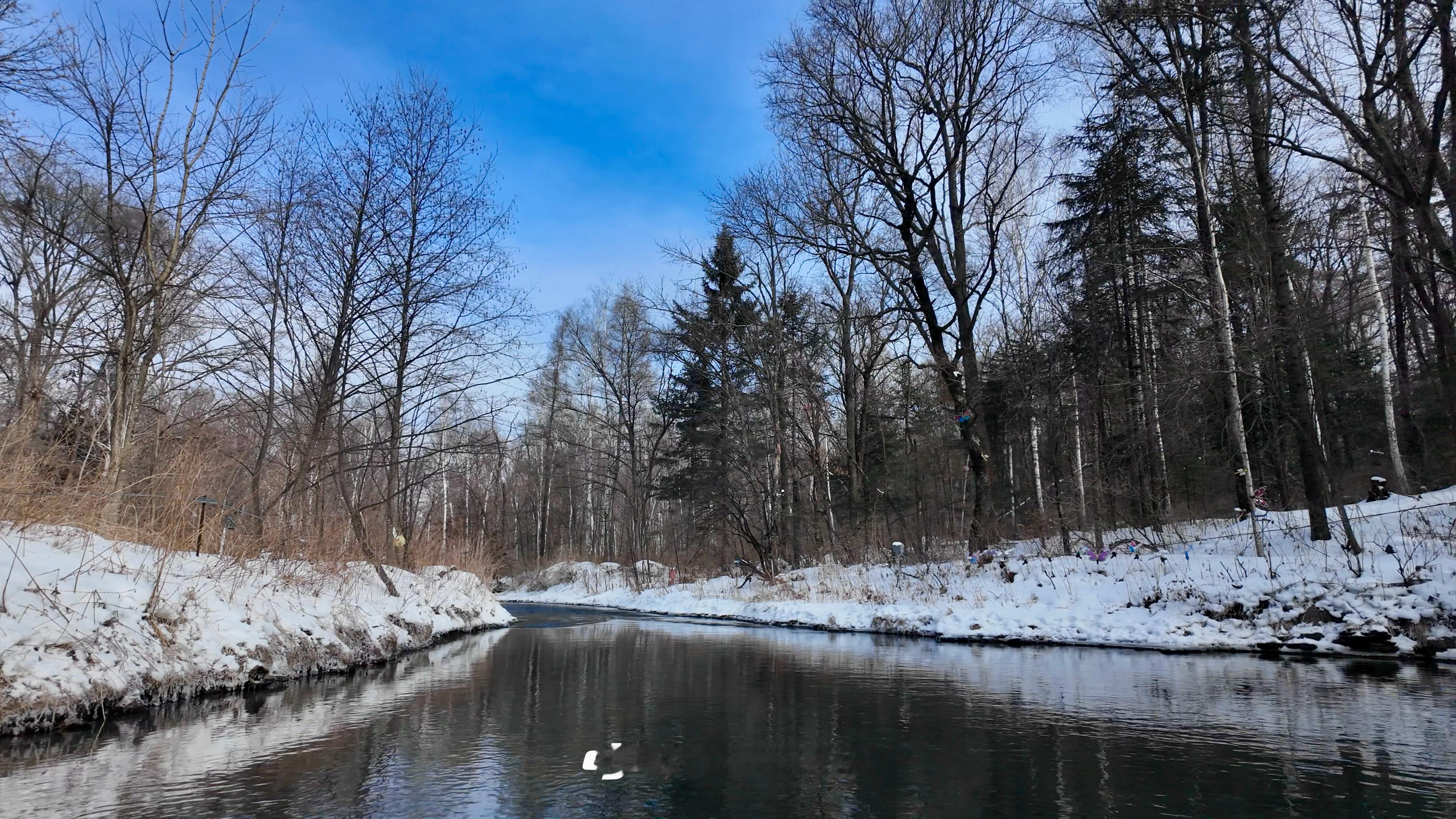 雪乡生活很曼妙记录我的日常plog幸福雪乡东北