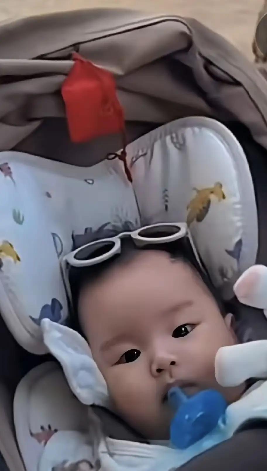 小玥儿回北京了，小箖箖怎么还没回来呢？

小箖箖聪慧且情商高，他可喜欢弟弟汪宝儿