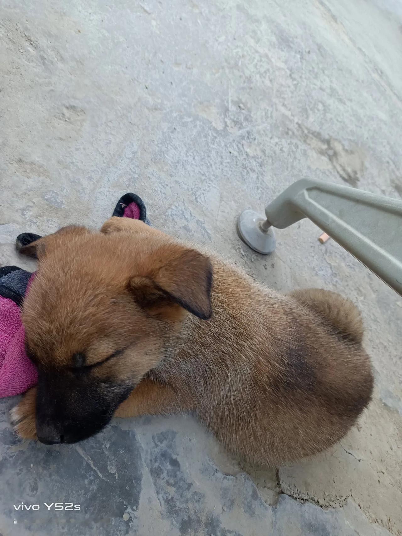 [比心][比心][比心]