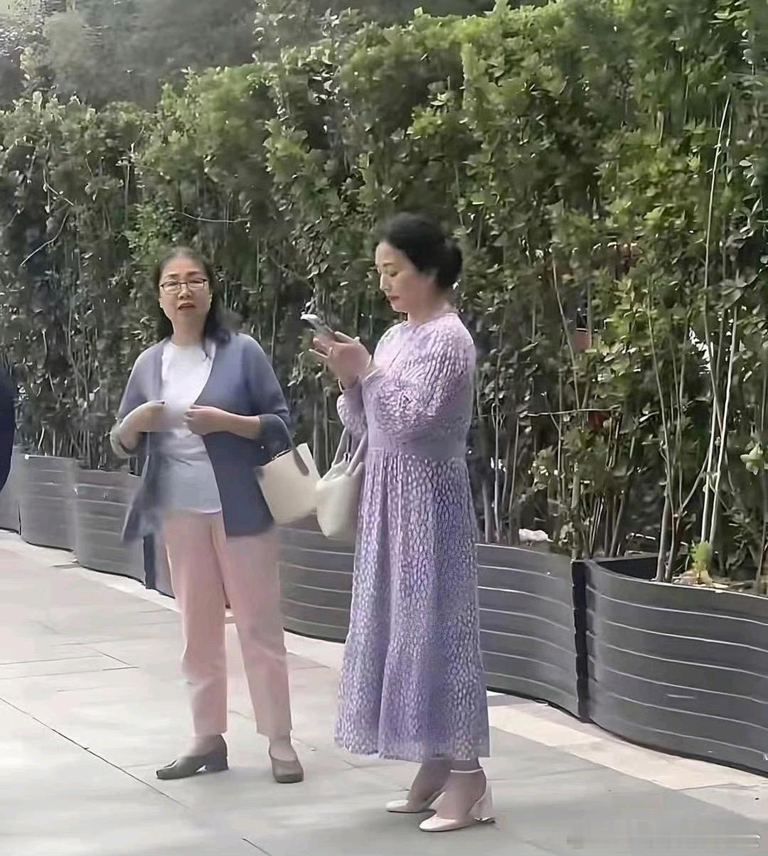 刘亦菲妈妈被偶遇，都 65 岁了，保养的挺好的气质很多，风韵犹存 