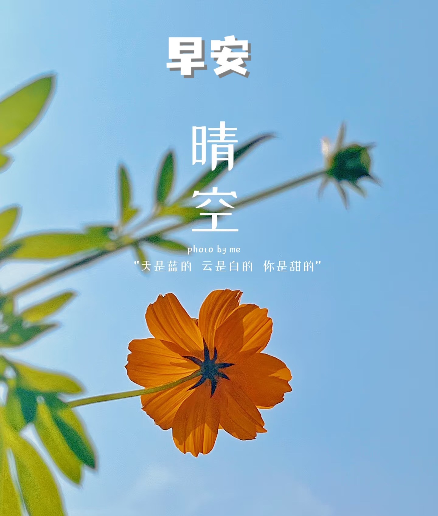 日复一日的平淡生活，处处萦绕着柔软暖心的暖意。期许每一个普通日子都满载细碎欢喜，