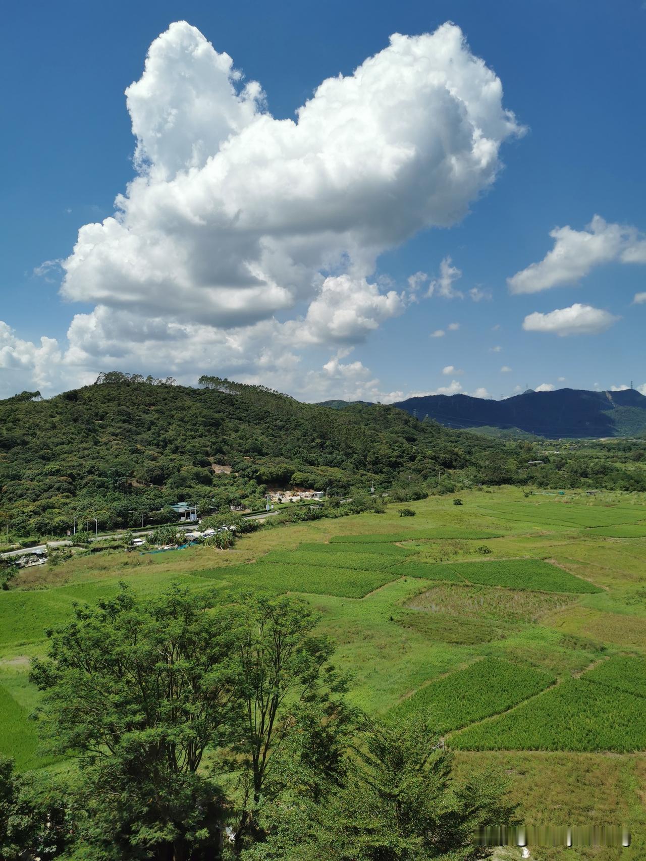 可以分享一张你拍的天空美照吗