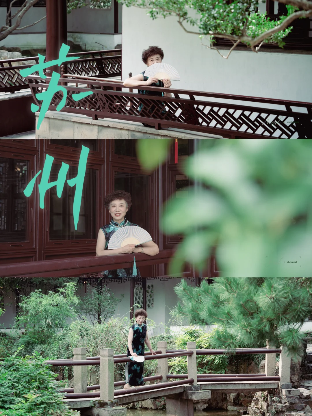 老妈的人生照片，我来主理～