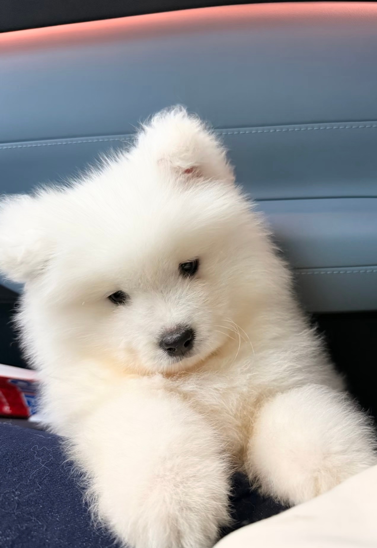 妈妈，我们去哪里玩呀 