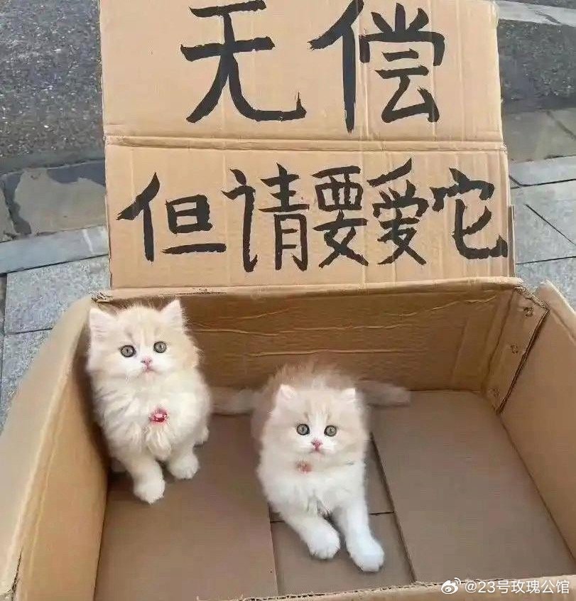 这个是什么套路？？？真有这种好事吗？？ 