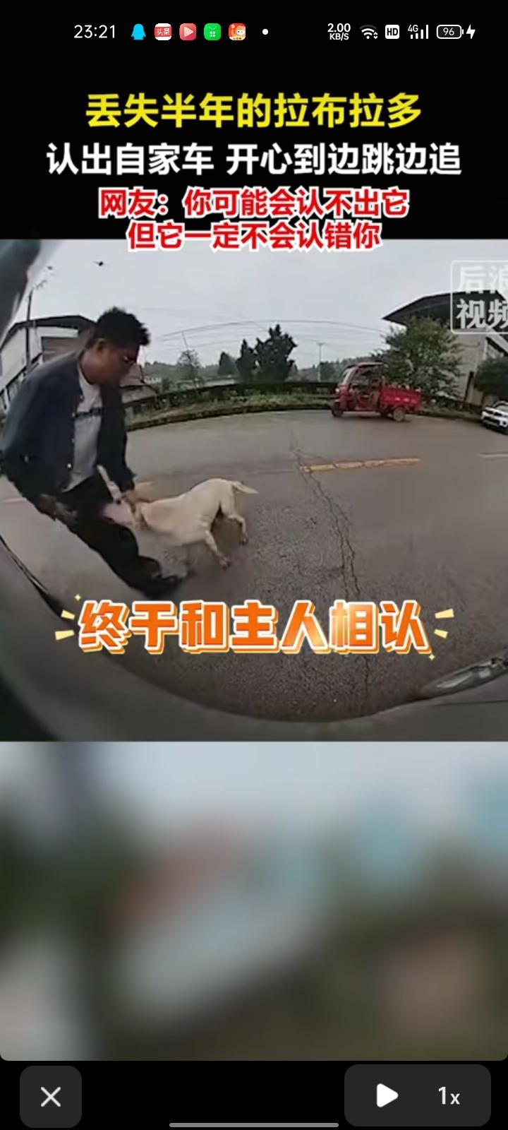 6月9日，重庆。网友发视频称，半年前，自家狗狗无故丢失，找回来的几率几乎归零，本