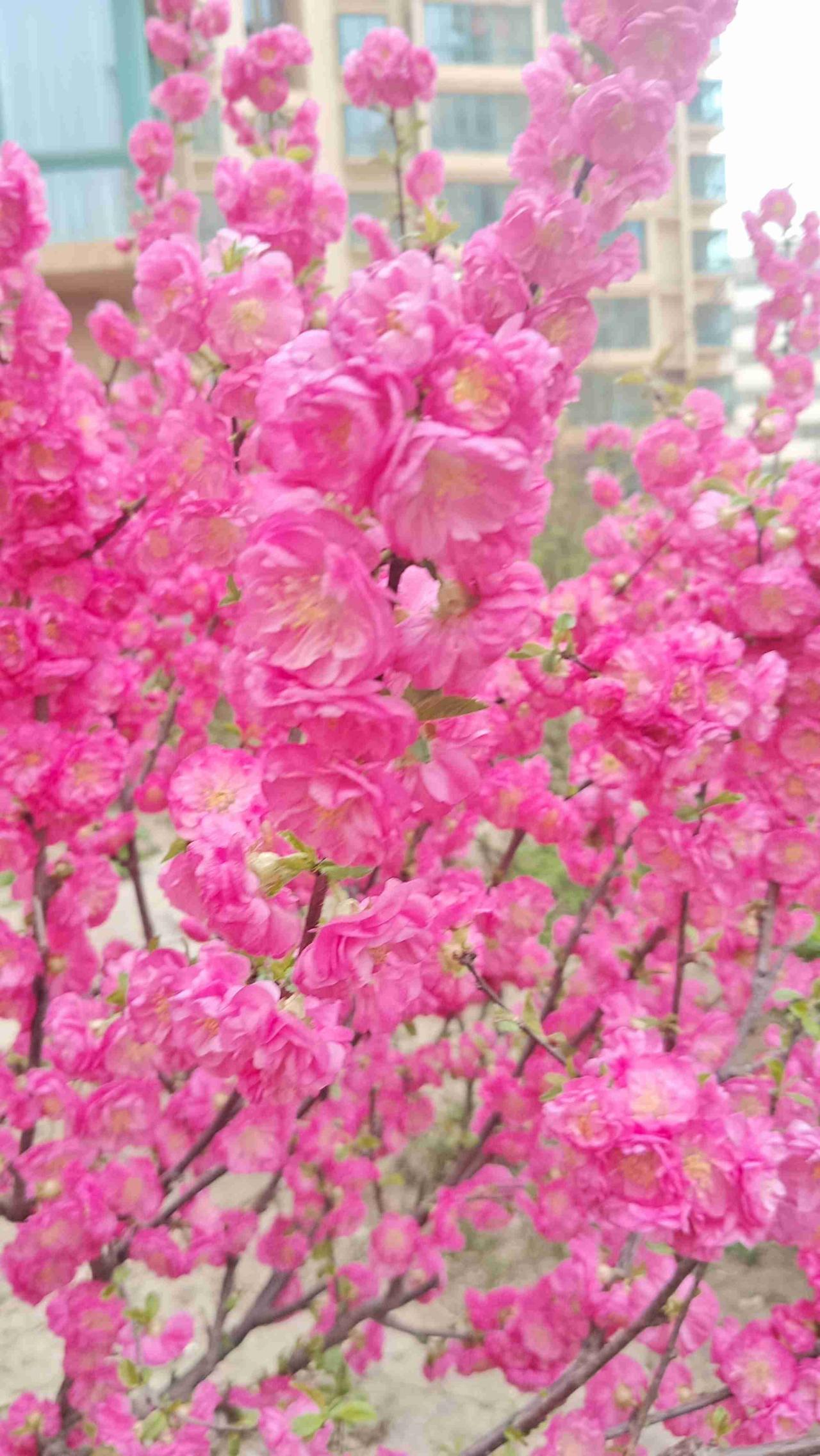 带定位晒今日生活 带定位分享今日生活，今日状态格外轻松欢快！天气也极为宜人，晴朗