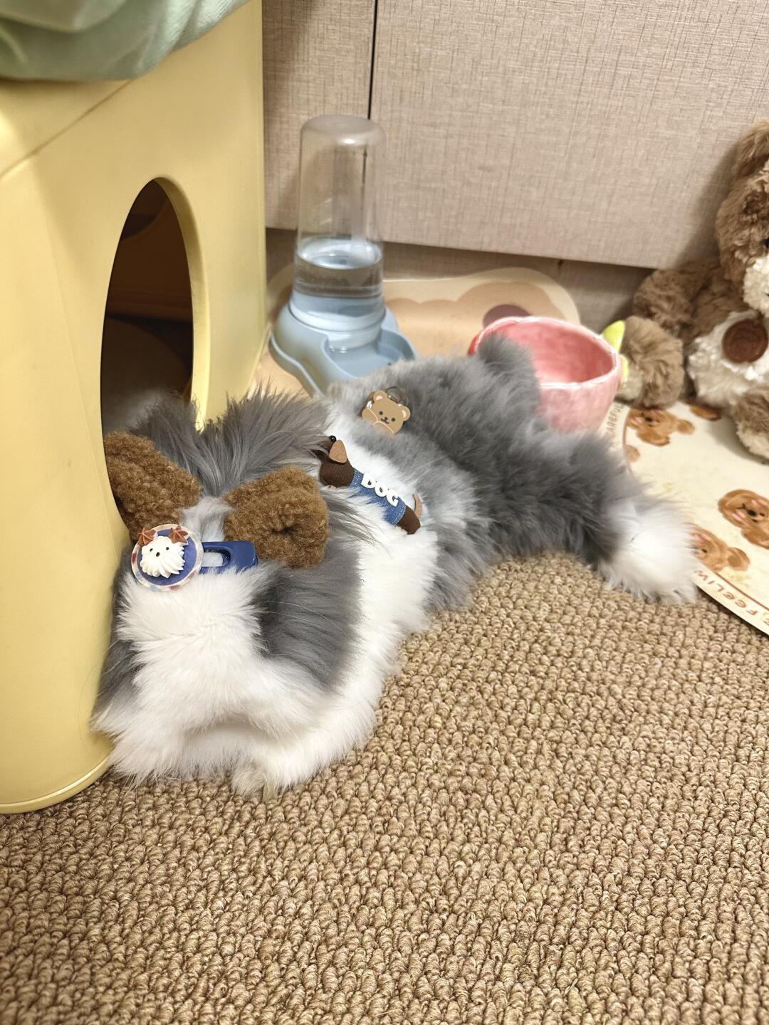 🐰：玩够了快gun😒