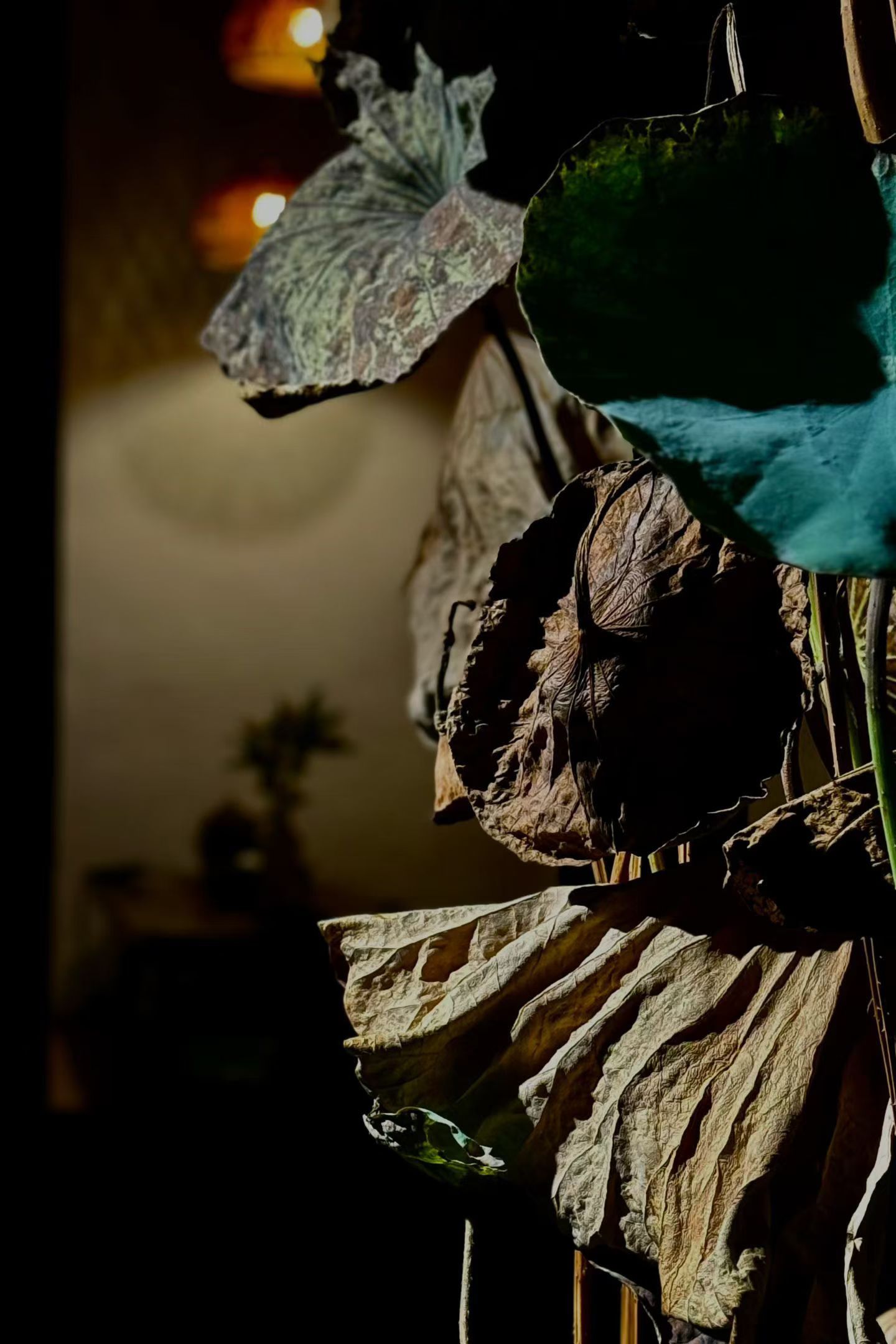 真正的格局不是你拥有多少资源而是能不能承载那些复杂的人性依旧不动声色的走正道 