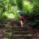 沈英爱聚体育