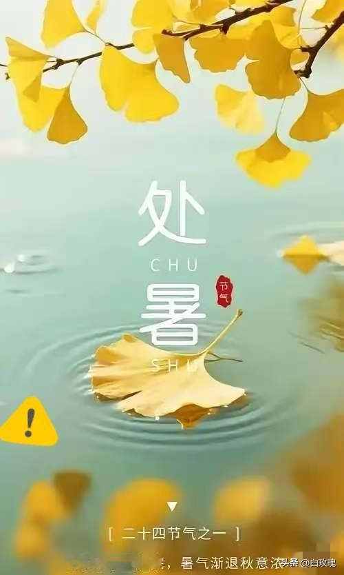 老一辈常说：上午处暑凉飕飕，下午处暑热死牛。
今天就是处暑了，准确交节时间是上午