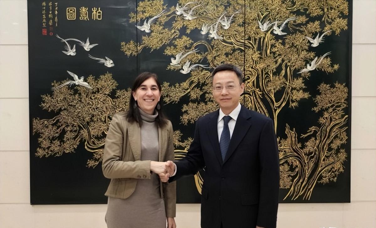 法国主动找中国谈 

2月3日，中国外交部领事司司长龙舟和法国外交部海外侨民事务