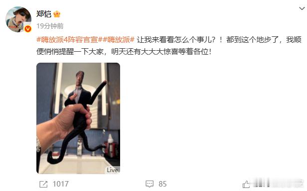 郑恺苗苗综艺合体郑恺苗苗官宣新综艺《嗨放派第四季》；还得是真夫妻[色]已经开始磕
