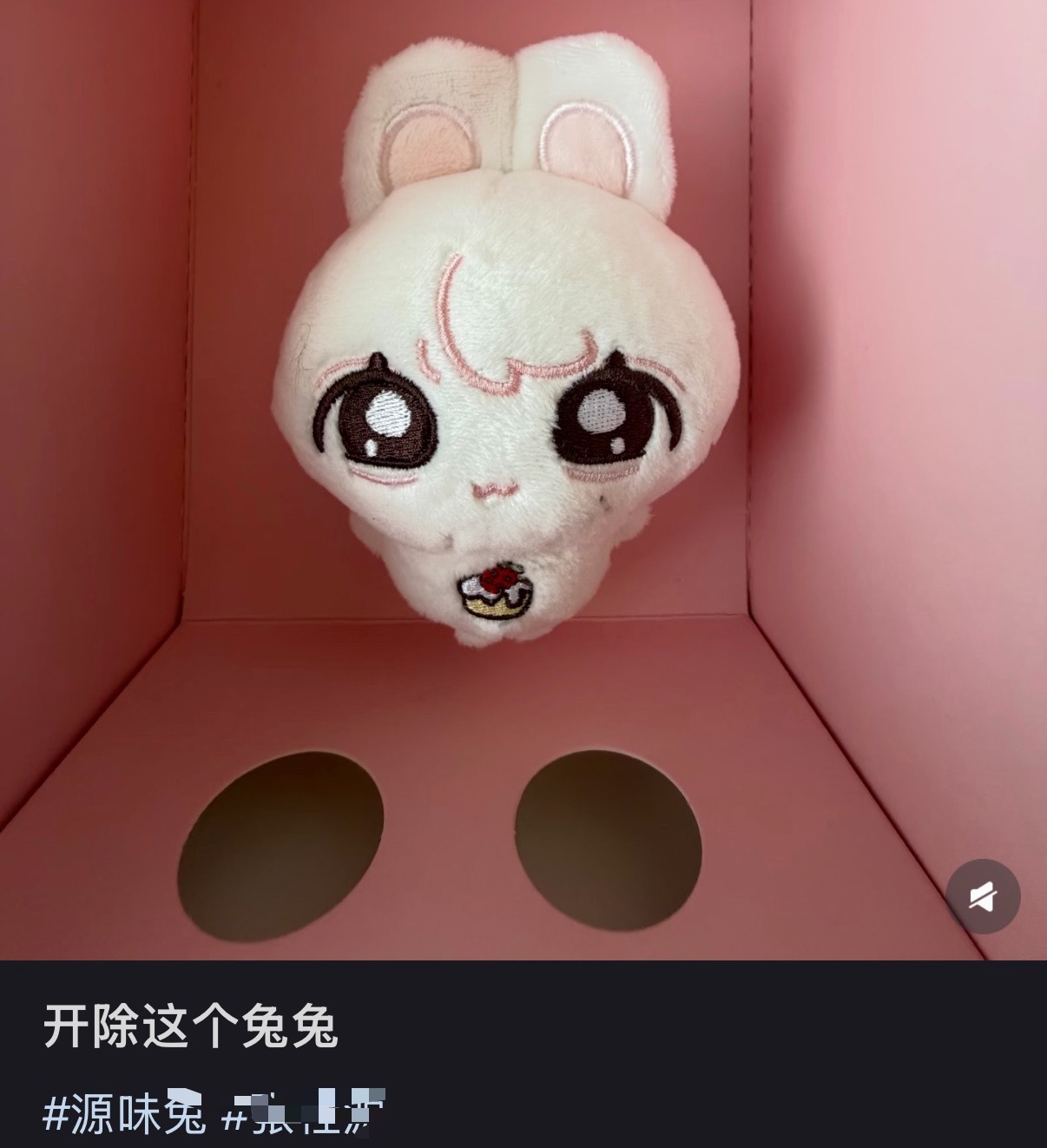 到版是愁哈 这啥呀[吃惊] 感觉扔了会自己跑回家… ​​​