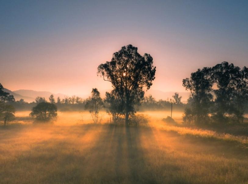 分享一张最近随手拍的照片日出