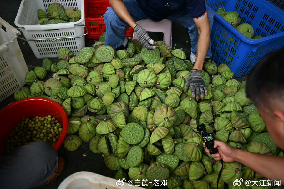 赣莲飘香广昌路上2026广昌莲花旅游文化节 【白莲进军高端商超 广昌这家企业以科