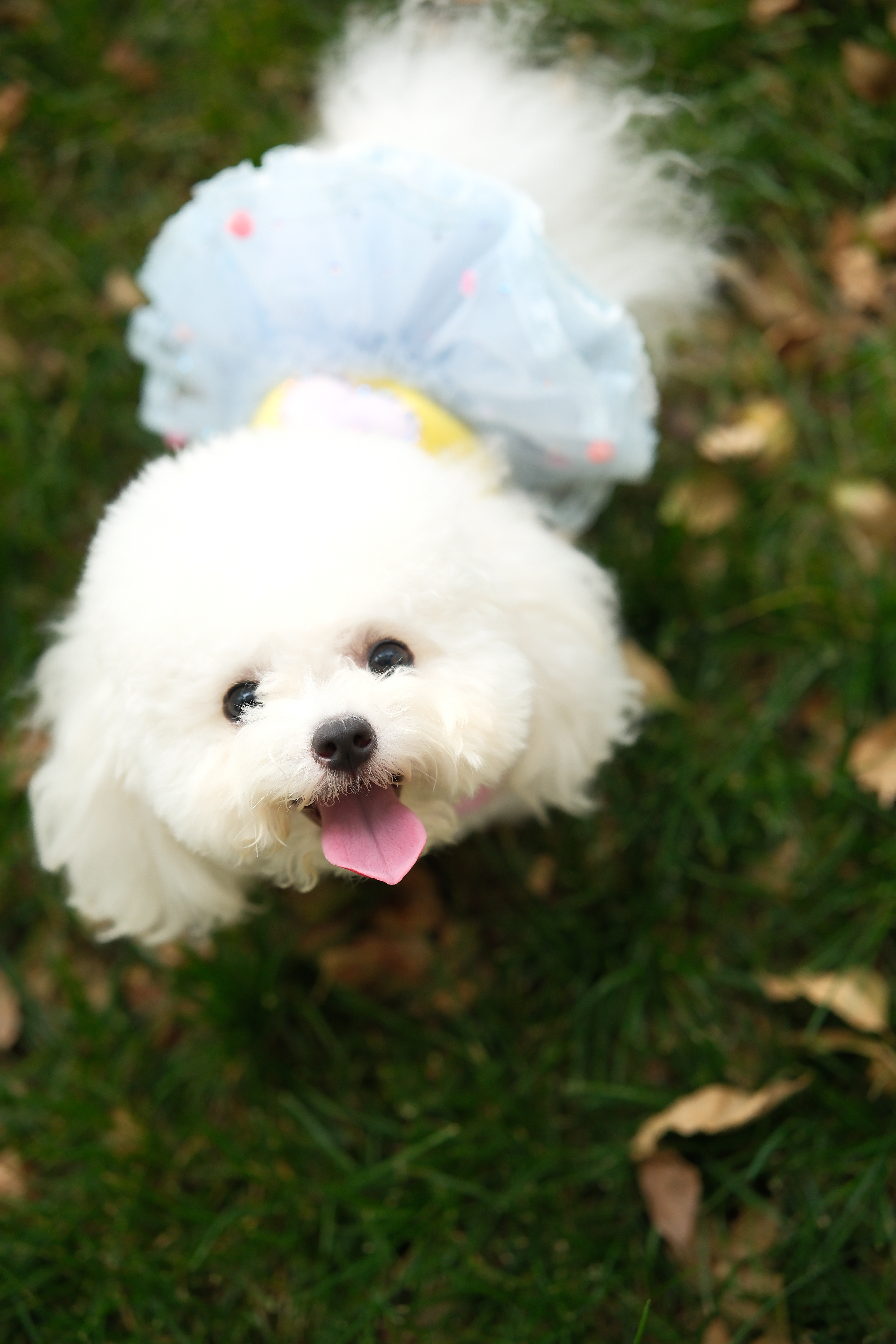我要向叔叔举报！！！我身边很多朋友[doge][doge][doge][doge