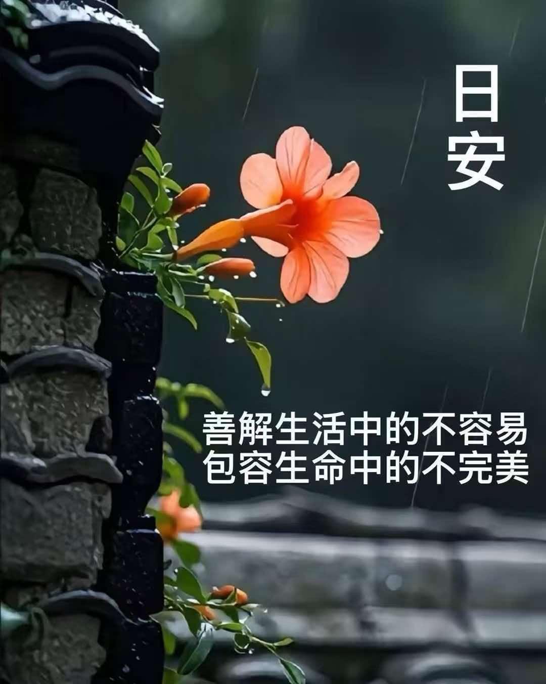 人生本就是一半遗憾，一半欢喜，与不完美和解。