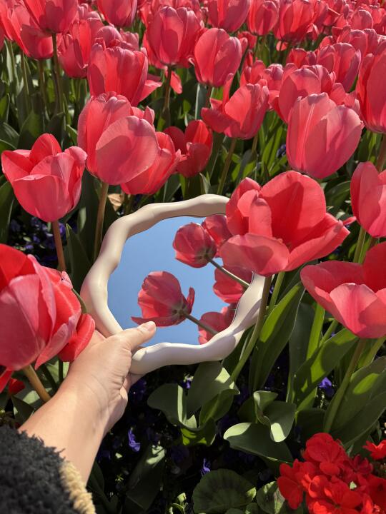 🌷𝗡𝗮𝗻𝗷𝗶𝗻𝗴 𝗧𝘂𝗹𝗶𝗽 𝗙𝗮𝗶?...
