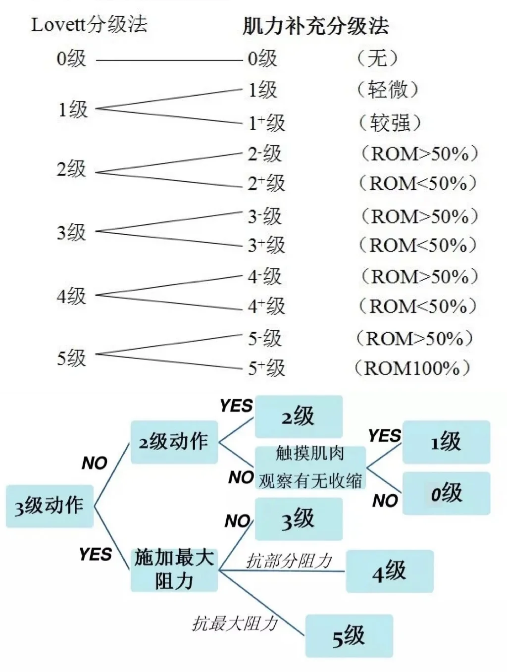 肌力分级