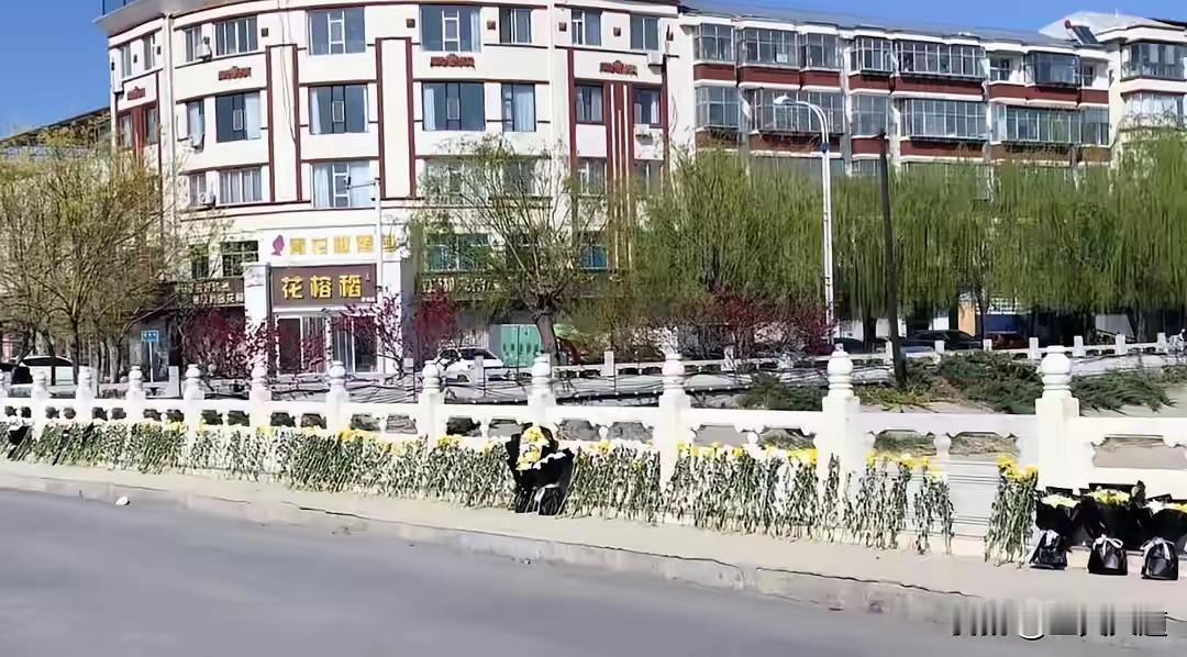 3月30日深夜，河北石家庄晋州市石津总干渠，一名女子不慎落水。

三名路人立刻出