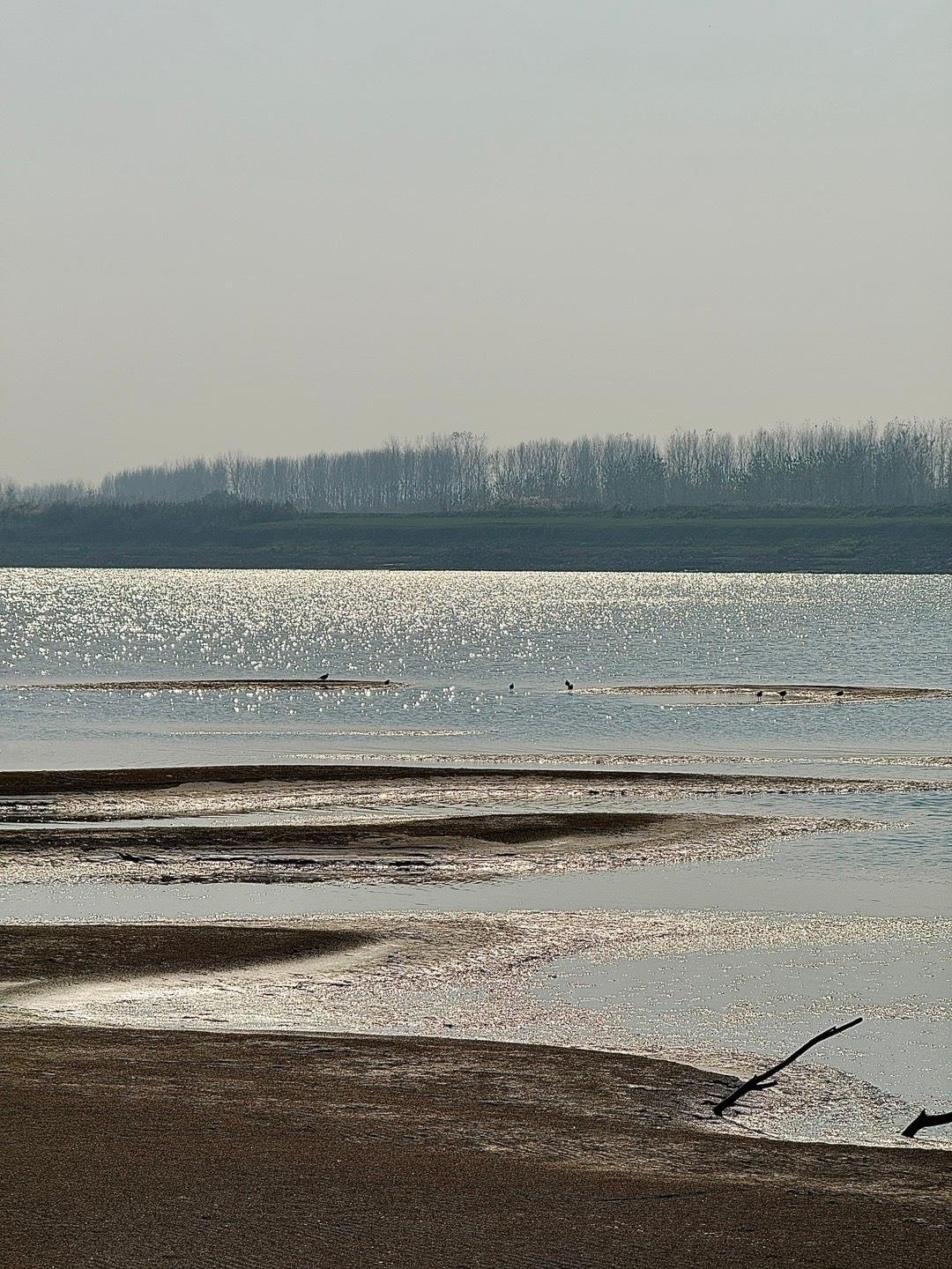 终不是那个八面玲珑的女子，讨不得四海八荒的喜，与独处相安，与万事言和 