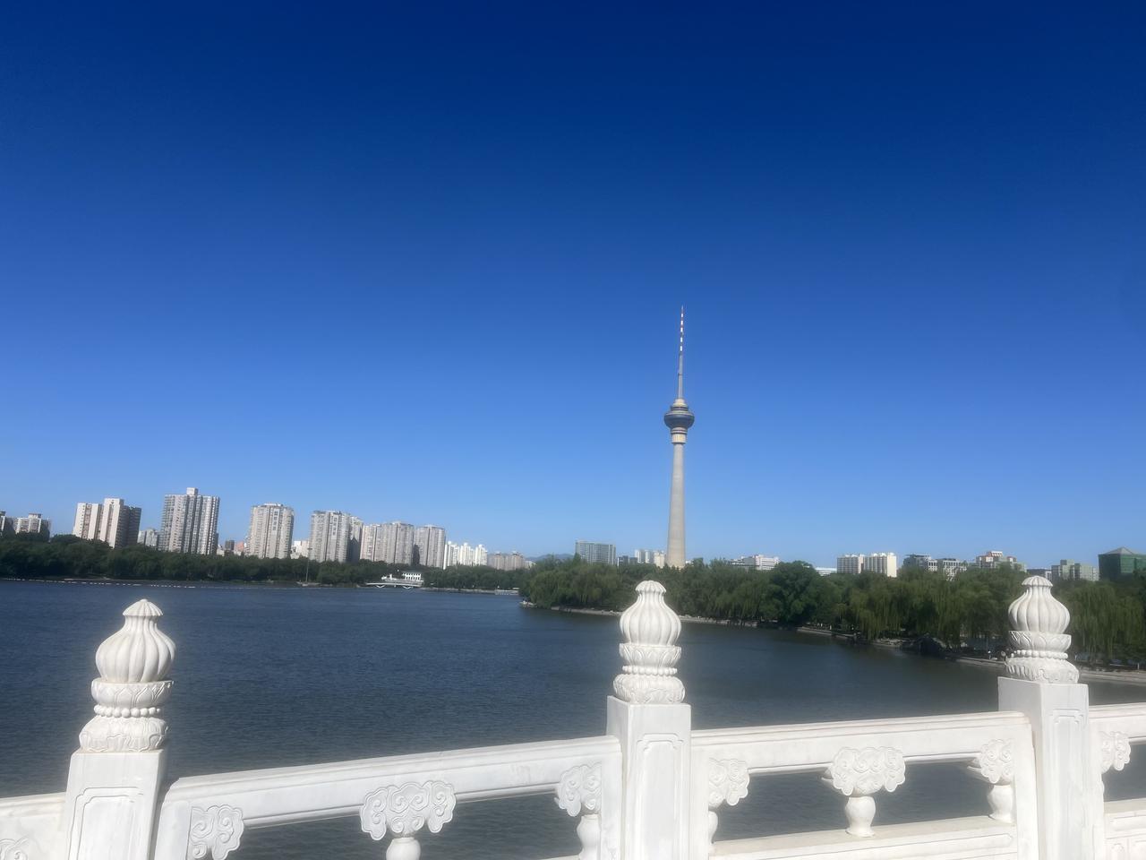 律师的解决方案再好，也需要委托人同意才行。当委托人或者委托人的组织机构不能跟上律