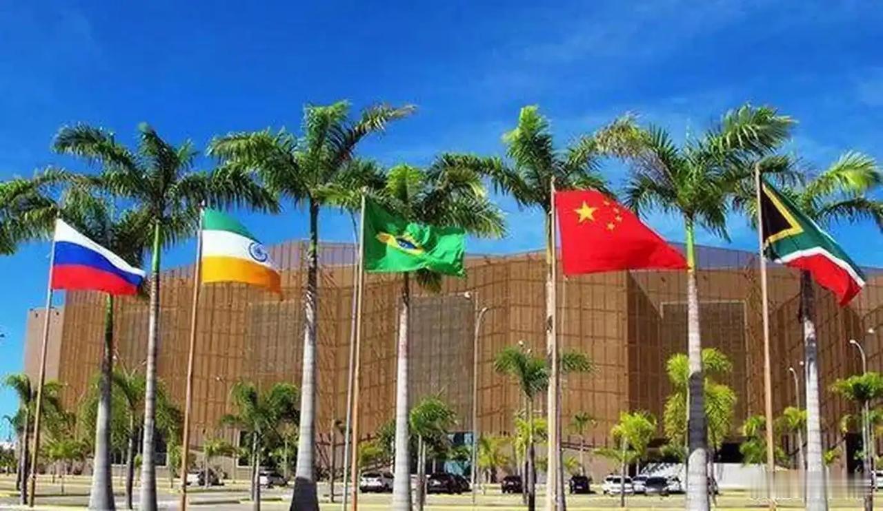 金砖峰会开场，为什么来的都是发展中国家
金砖领导人第18次会晤在印度新德里举行，