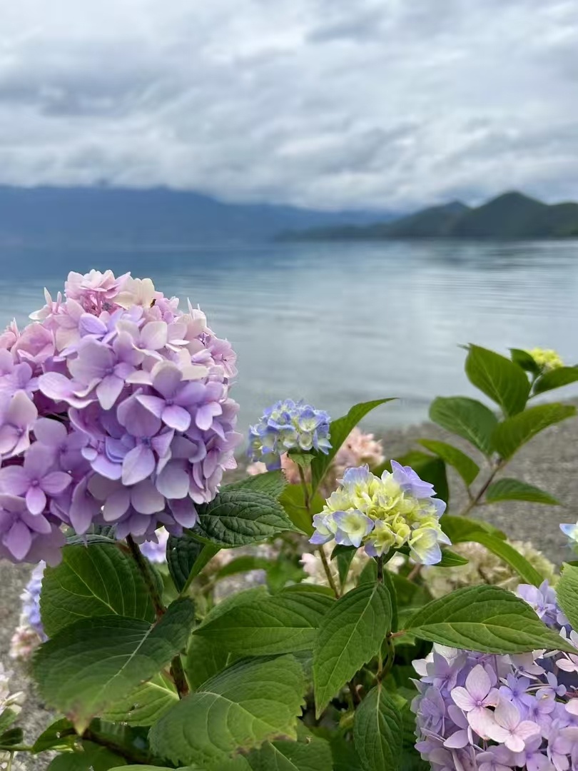 通过建立能量坐标系，能够打破“凭感觉判断累不累”的模糊性，让零散的精力感受转化为