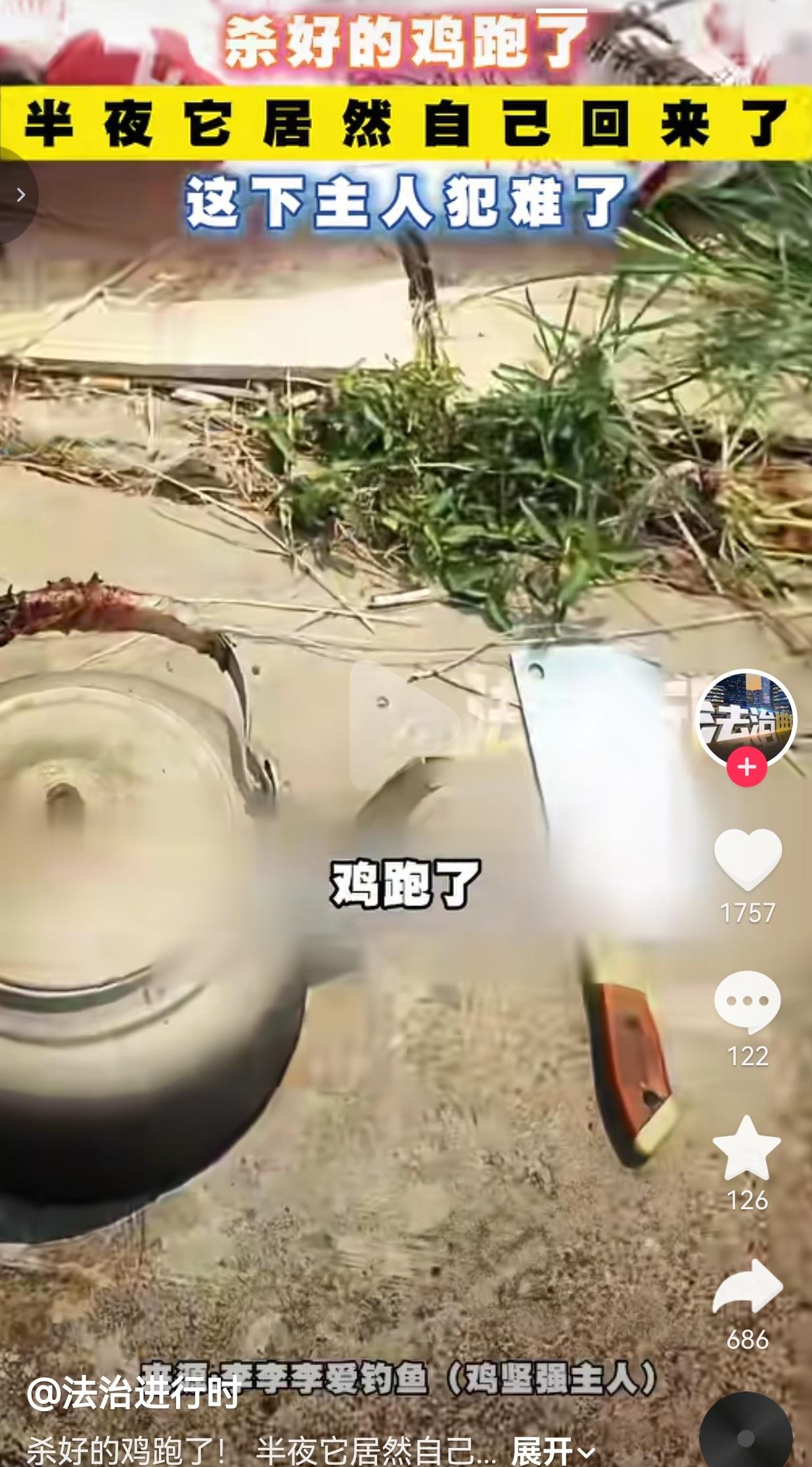 一只生命力顽强的鸡，硬生生把主人难住了。
 
湖北荆州一名男子，打算宰家里的土鸡