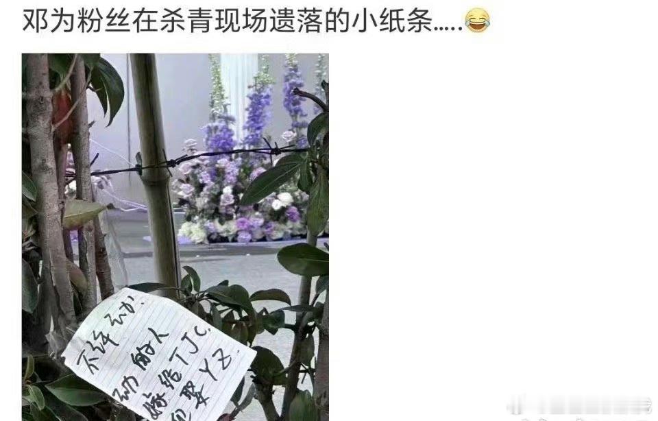虽然但是 为什么邓为粉丝要在《仙台有树》杀青现场的小纸条上写：不许动，动的人嫁给