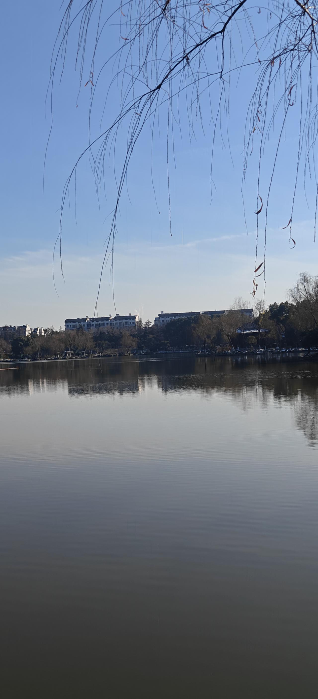 2026年的第一场雪已经结束。
好几天没出门，下午去公园走一圈，晒晒太阳，好舒服