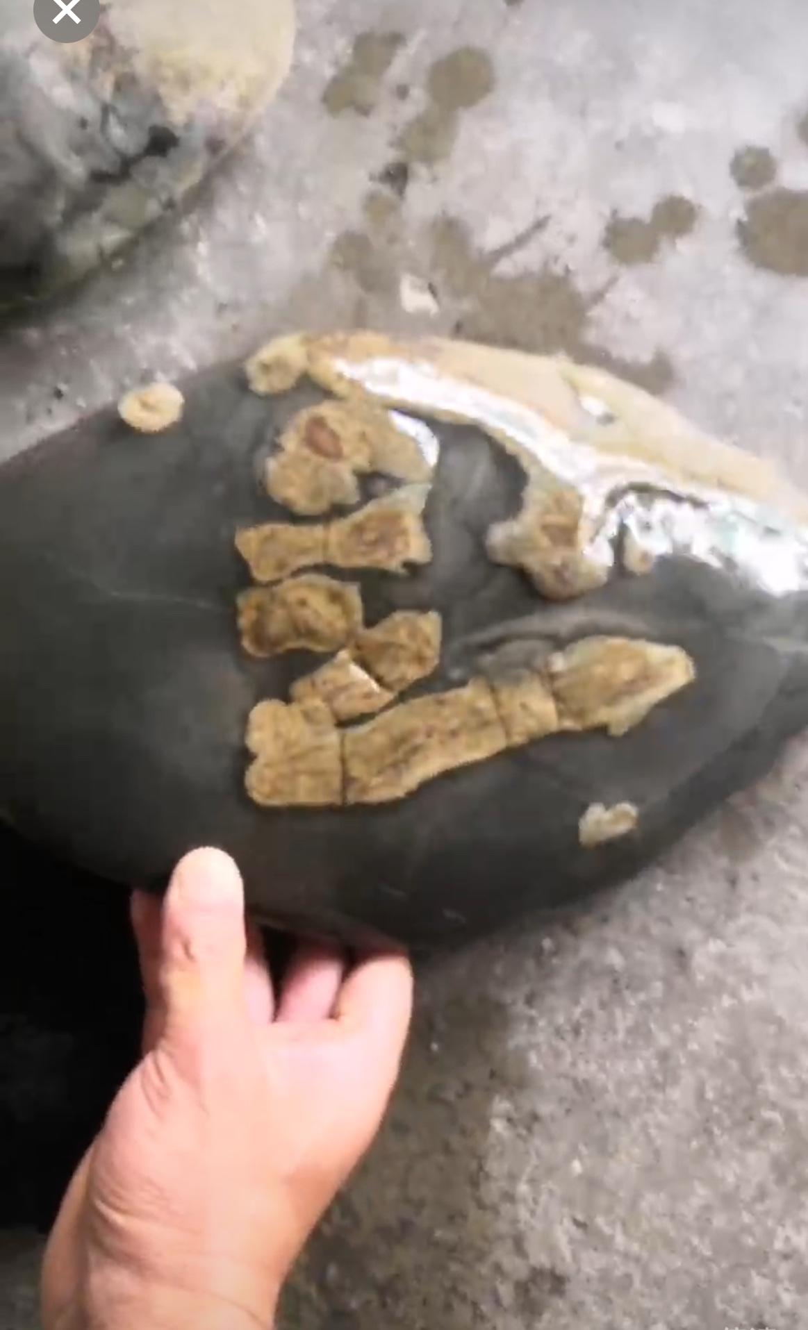 请问各位大神这石头里像什么字？谢谢🙏