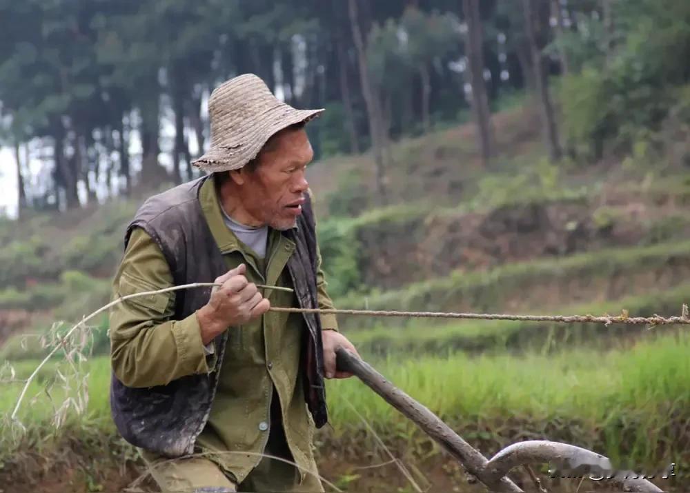 前三十年，农村走集体化道路，大家互帮互助，劳动力强的帮劳动力弱的，勤劳的带动懒惰