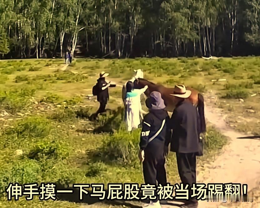 “不作死就不会死！”新疆阿勒泰，两个女游客不听劝，执意要摸马屁股，没想到，马转过