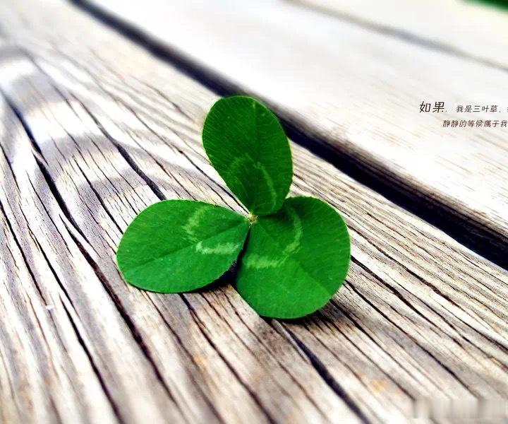 七分暖，三分凉·默斋主人原创散文深夜偶读一语：“莫予人全然热忱。”初闻刺耳，细品