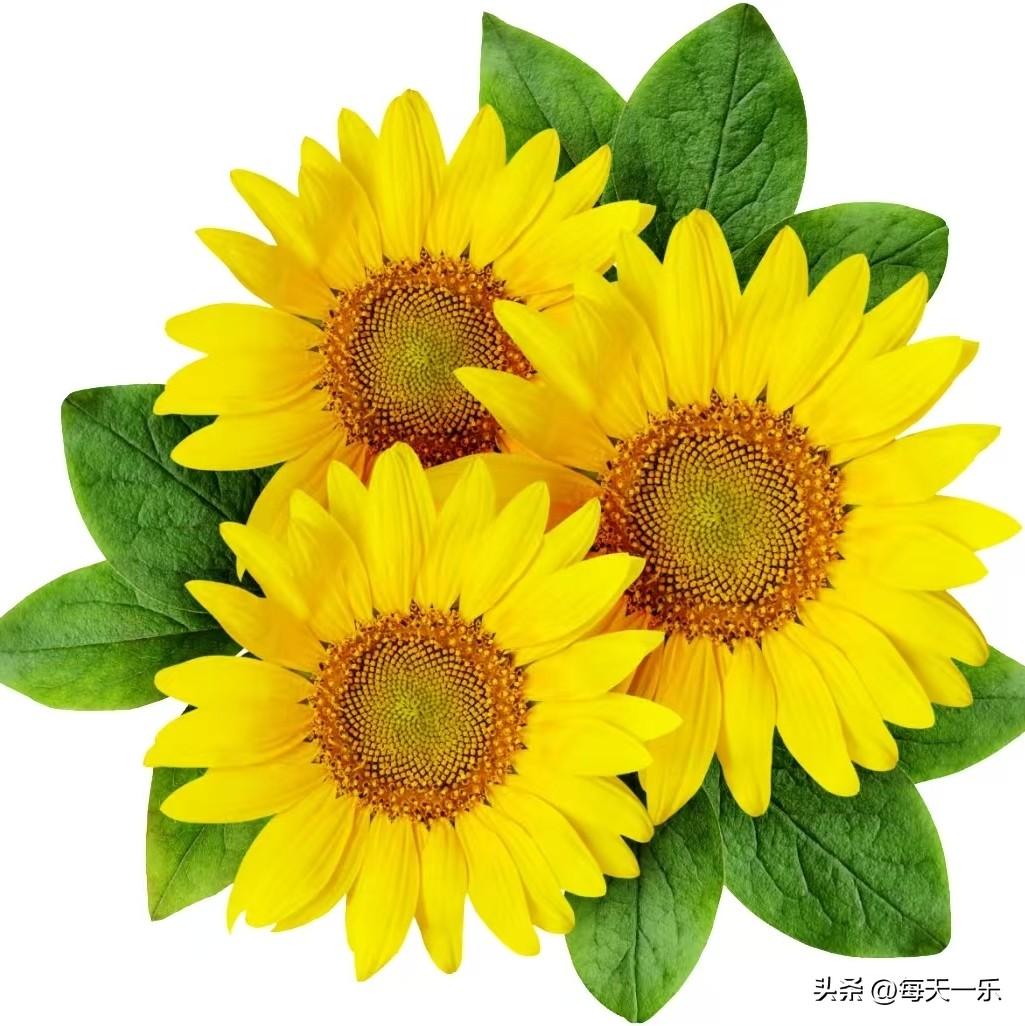 存钱和保险不是二选一。存钱是底气和规划，但一场大病或意外就可能让积蓄清空。保险是