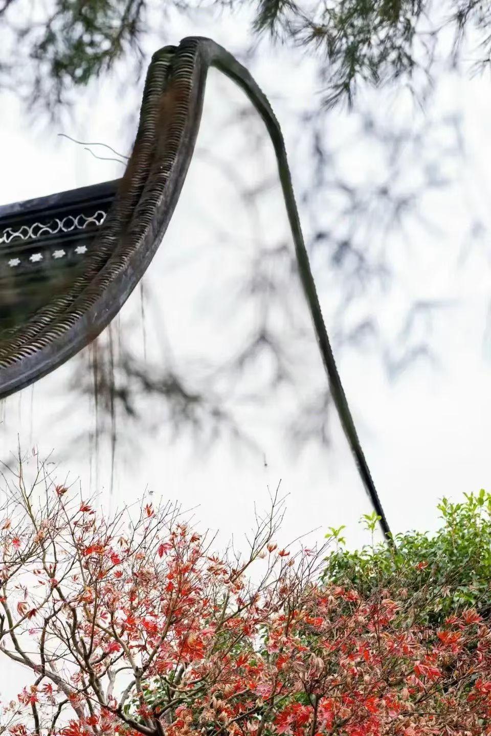 春風暖意展新境，
旭日載夢迎黎明，
歲月靜好人如意，
當下健康皆吉祥。
早上好！