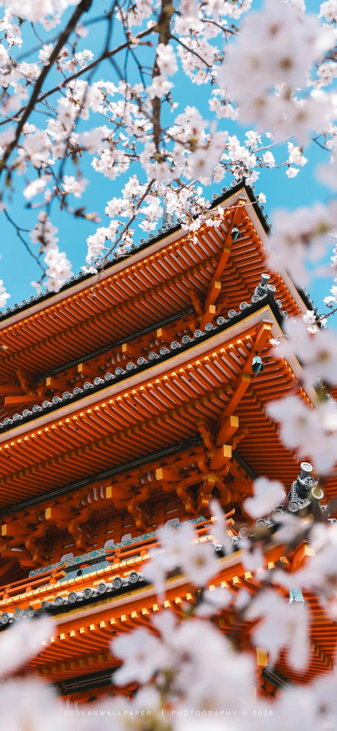 手机背景图｜城市 
