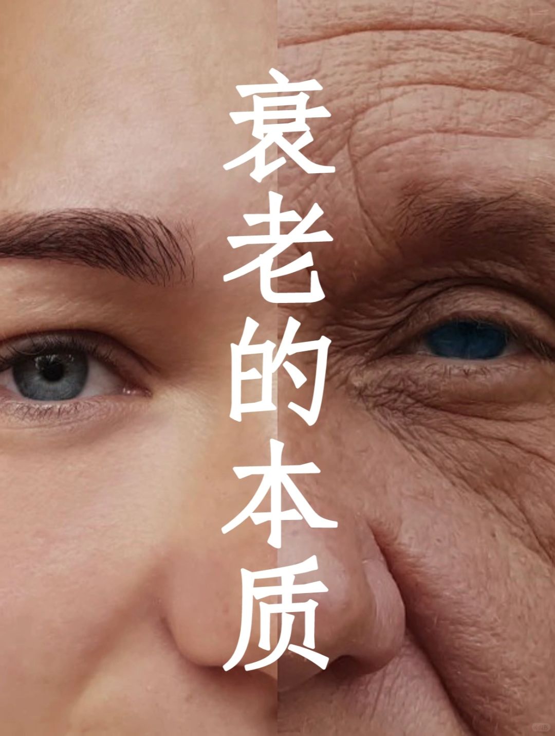 如何改变衰老的速度？