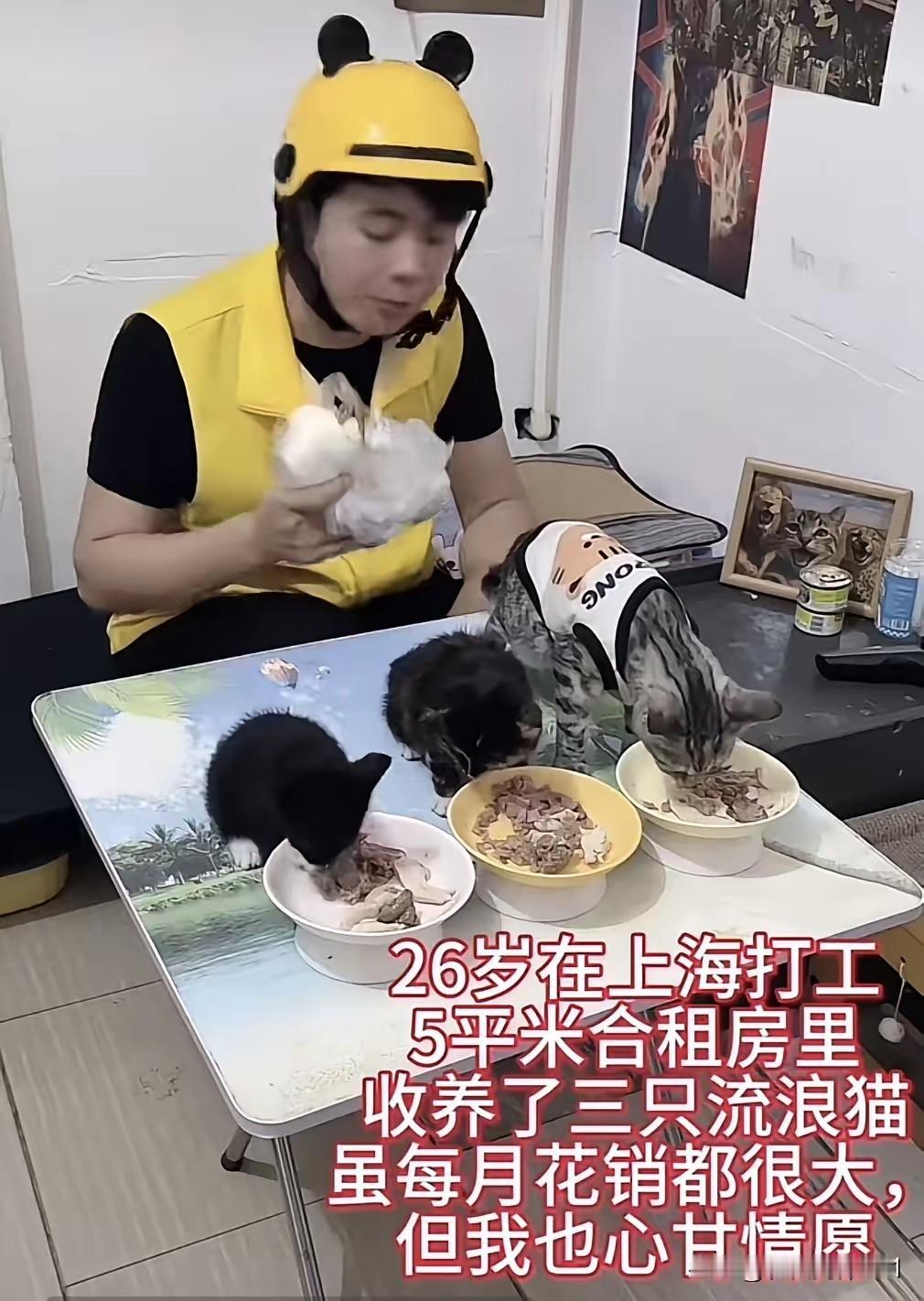 善人有善报，这世间好心人还是挺多的。26岁的快递小哥，在狭小的5平方小屋，为3只