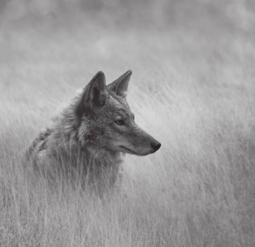 痛苦来自解释，不是事情本身。
多数煎熬，都是自己给自己加的戏。停止过度解读，停止
